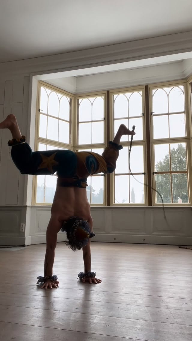 Whip and wiggle 🎪💥costume by: