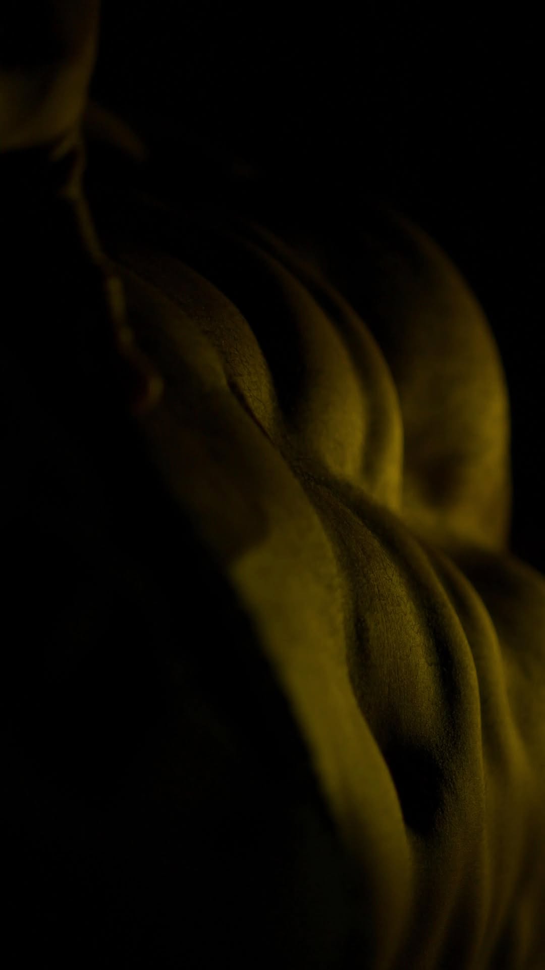 Warm Aesthetics 🔆