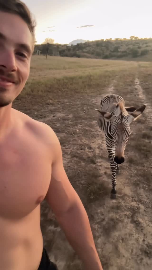 A fun jog with Melro, Vlakkie and the dogs turned out to be a wild one… 👀🐍🦓🐗🐕