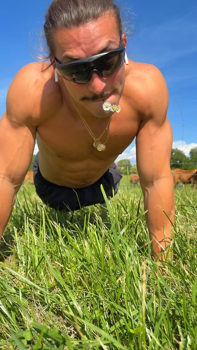 Animateur colo pour les vaches 🌞🌻🐄