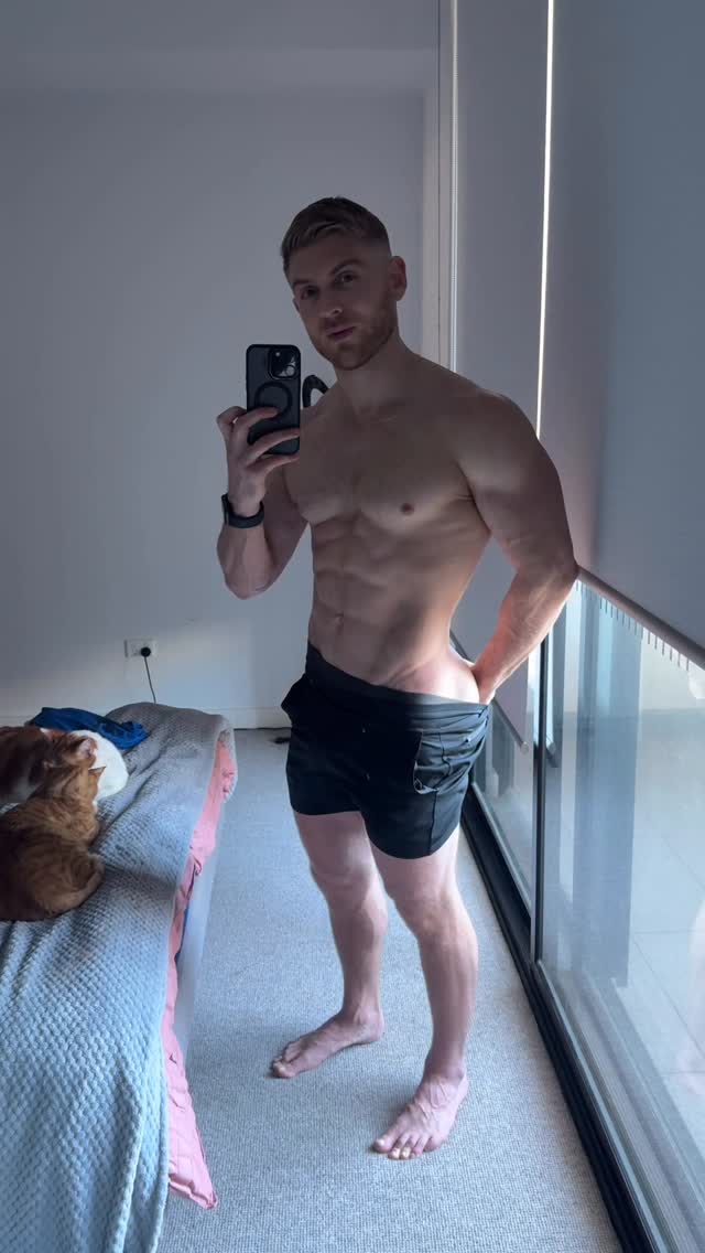 Aren’t they cute?!