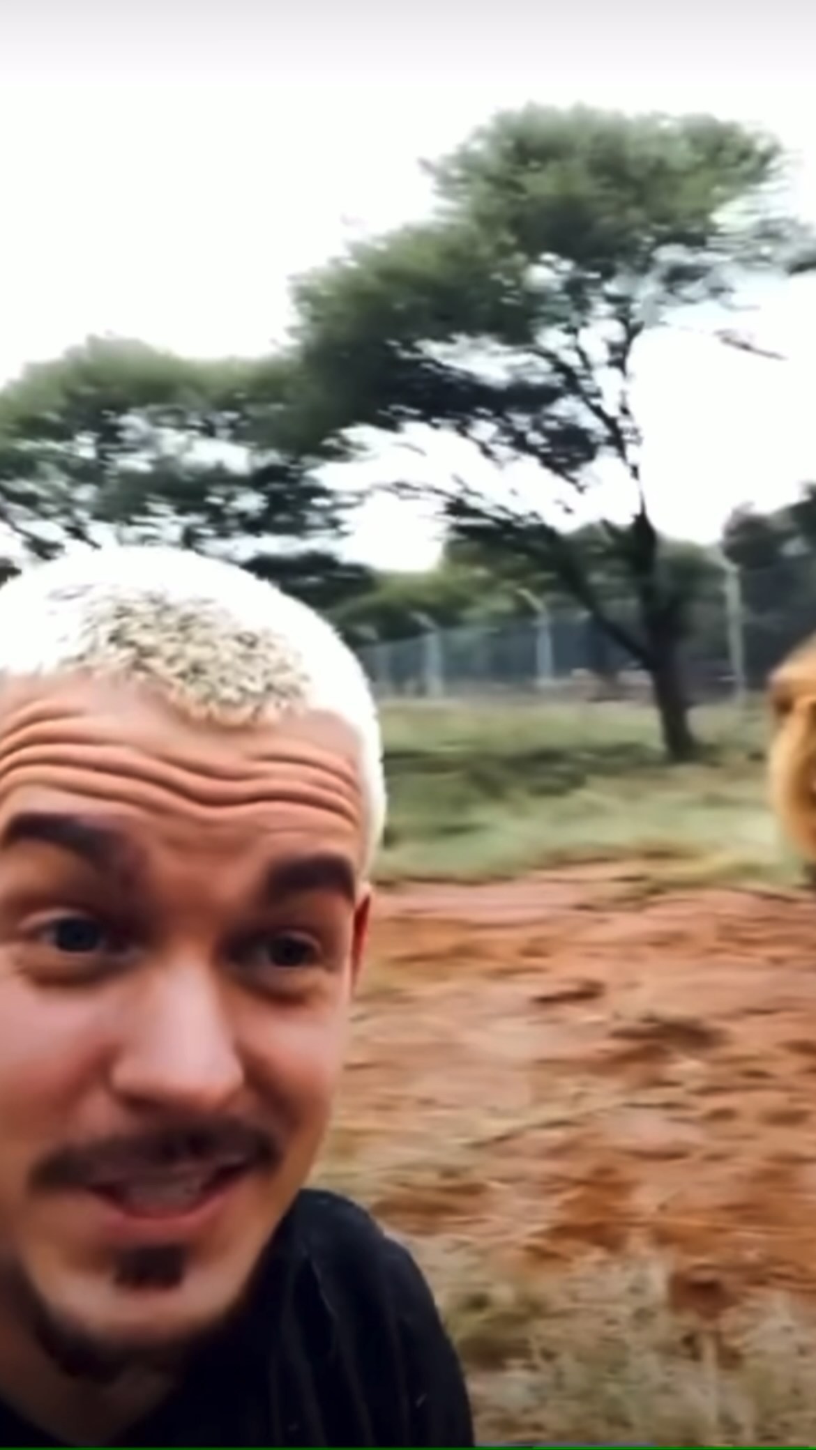 Real No. 10 - the king .reels